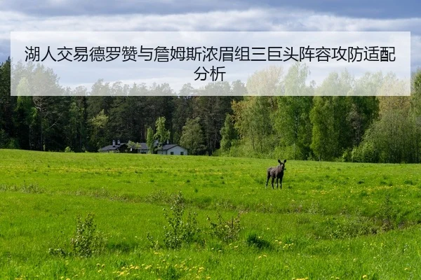 湖人交易德罗赞与詹姆斯浓眉组三巨头阵容攻防适配分析